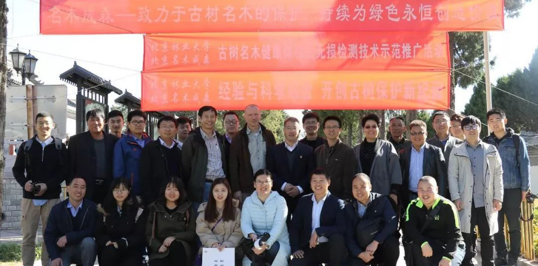 古树名木无损检测技术示范推广活动