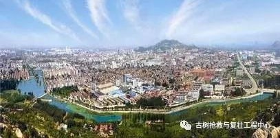 三孟研学之旅