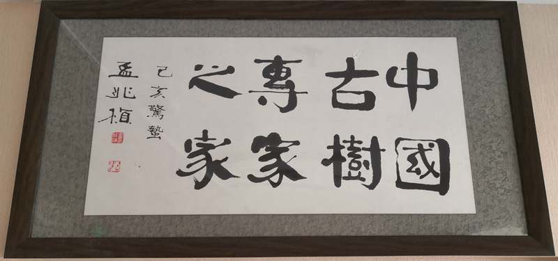 <span style="color:#E53333;">【2019】【院士发声】尊重自然才是以人为本—孟兆祯</span>